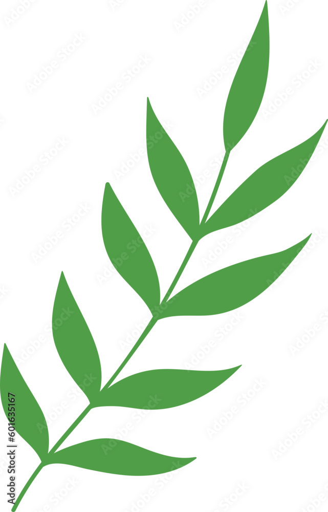 Leaf Illustration
