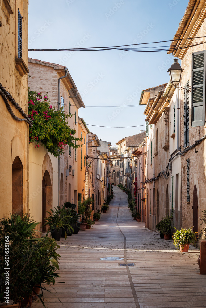 Alcudia street. Typical old town in Mallorca with a narrow street and potted plants