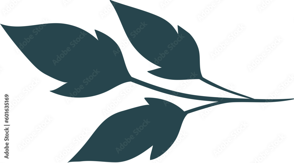 Leaf Illustration Leaf Illustration