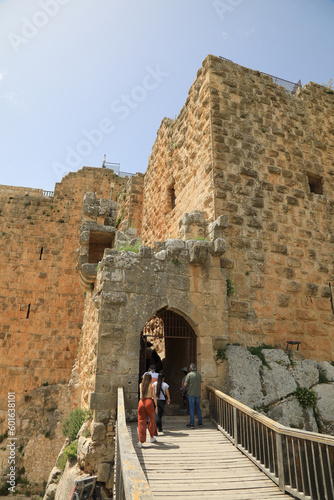 jordania castillo de ajlum fortaleza 4M0A0035-as23 photo