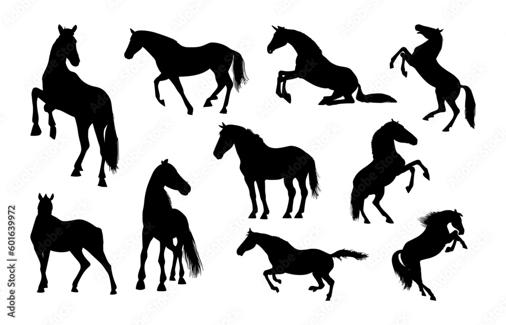 set of horse silhouettes on isolated background