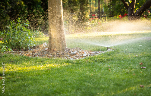 Nature's Refreshment: Automatic Sprinkler Watering Grass at Sunrise