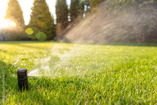 Efficient Garden Care: Automatic Sprinkler at Sunrise. concept wallpaper for a gardening business