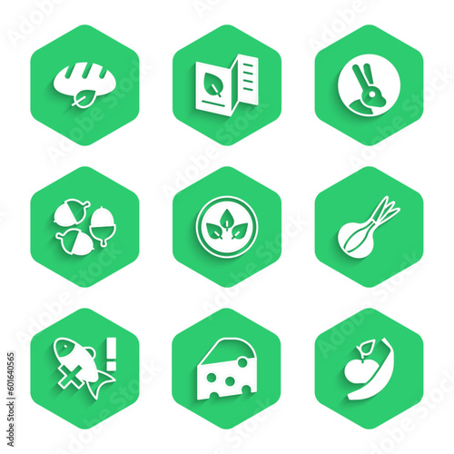Set Vegan food diet, Cheese, Apple and banana, Onion, No fish, Acorn, Rabbit and bread loaf icon. Vector
