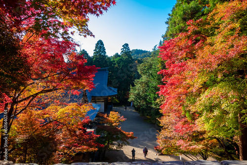 秋の京都・神護寺の金堂から見た、カラフルな紅葉と快晴の青空 photo