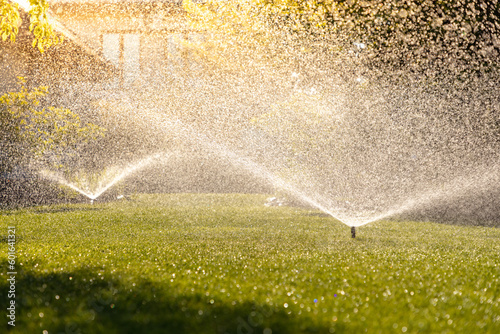 Morning Freshness: Green Lawn Watered by Automatic Sprinklers. Business wallpaper with a garden theme