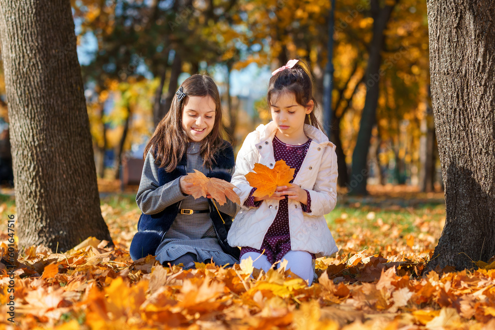 two girls are sitting in a glade of yellow maple leaves in an autumn city park, children are playing and enjoying, picking leaves near a tree, beautiful nature, bright sunny day two girls are sitting in a glade of yellow maple leaves in an autumn city park, children are playing and enjoying, picking leaves near a tree, beautiful nature, bright sunny day