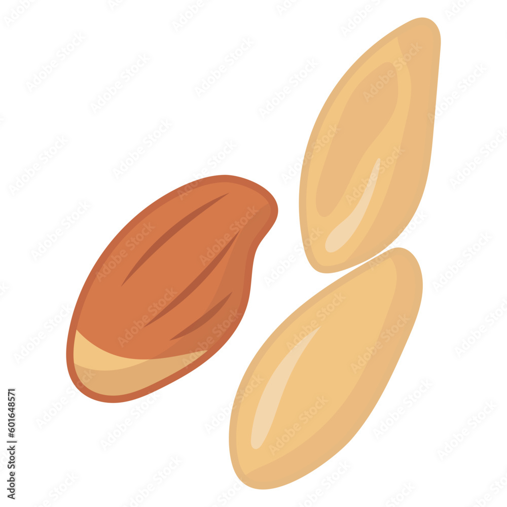 Obraz premium Beans And Legumes Peanuts