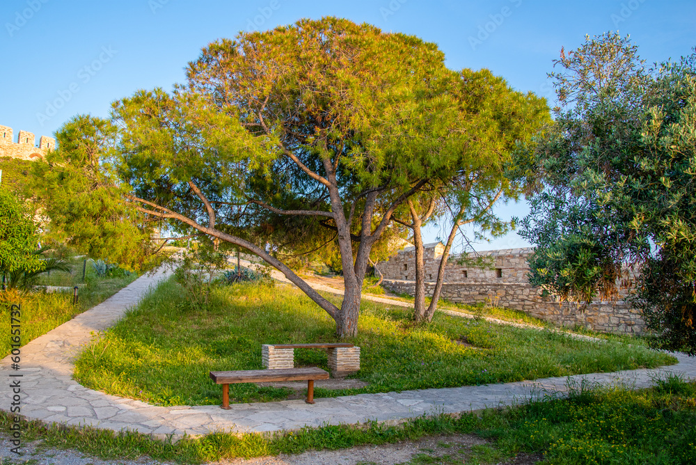 Obraz premium Two benches near a tree and a stone path.