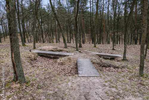 Paths in forest in Bialoleka district on the edge of Warsaw, capital of Poland