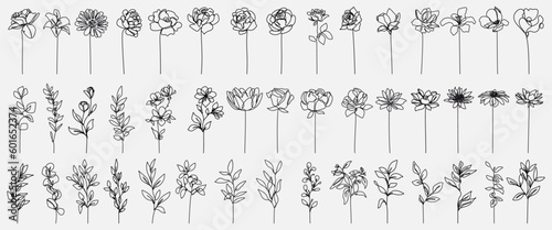 Flowers One Line Drawing Set. Vector Abstract Flowers and Leaves Linear Illustration Set. Botanical Trendy Minimalist Contour Drawing. Continuous Line Art of Flowers. Hand Drawn Floral Black Sketch.