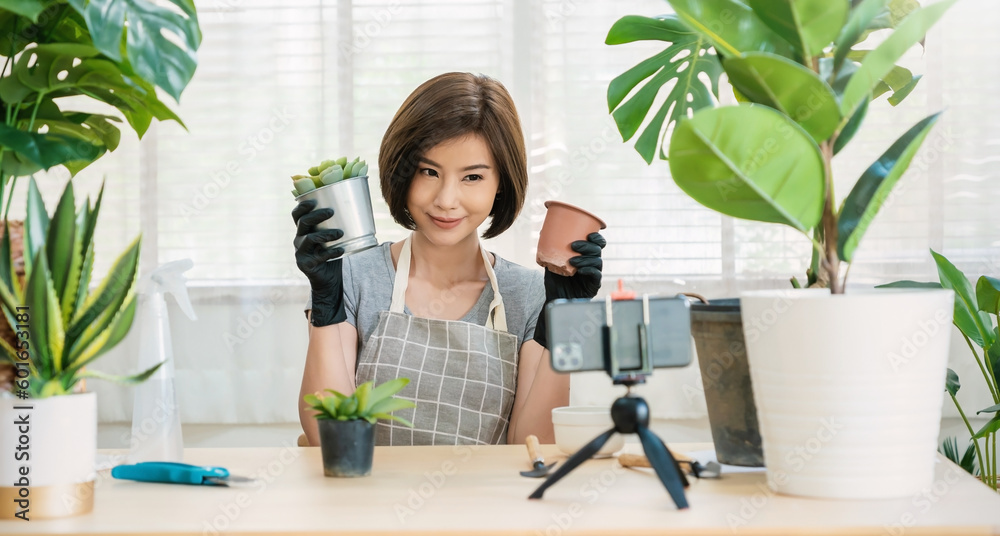 Portrait of young asian woman planting plant pot to fan channel record home video Online influencer girl in social media marketing live blog hobby new normal sme small business, sustain ecology Portrait of young asian woman planting plant pot to fan channel record home video Online influencer girl in social media marketing live blog hobby new normal sme small business, sustain ecology