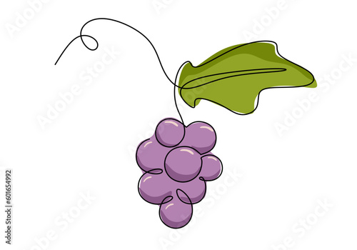 Grapes continuous one line drawing, fruit vector illustration.