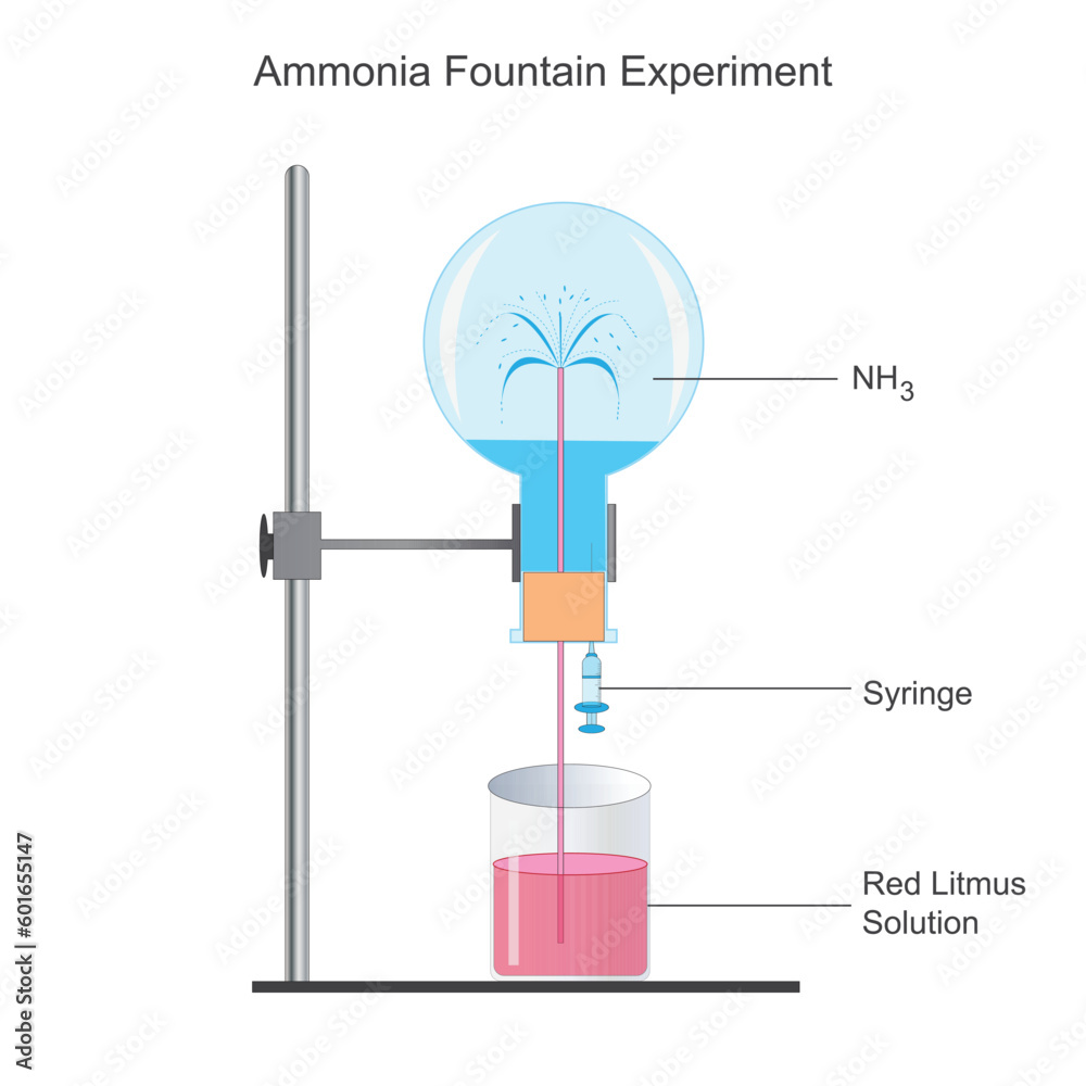 Ammonia fountain experiment to show the solubility of ammonia gas
