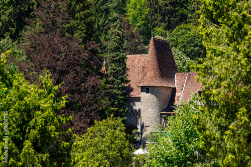 The Peles Castle in Romania photo