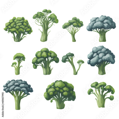 Set of Watercolor Broccoli collections with isolated white background