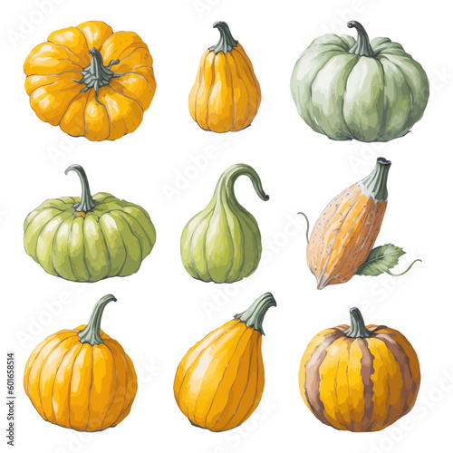 Set of Watercolor Pumpkin collections with isolated white background
