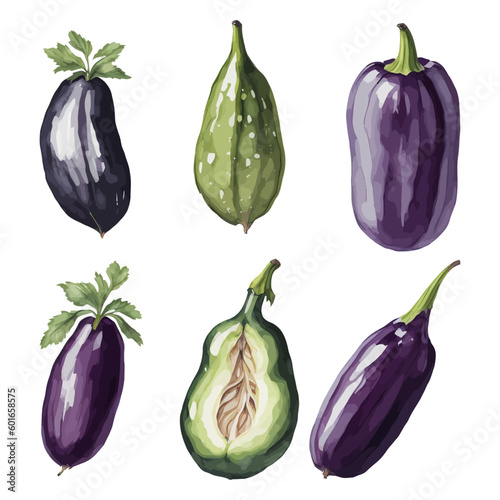 Set of Watercolor Eggplant collections with isolated white background