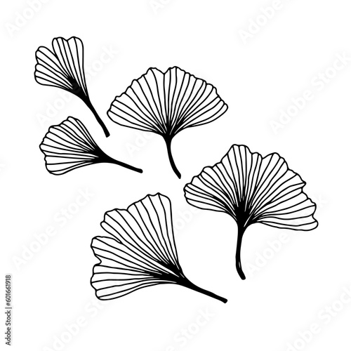 Black ink line art leaves  hand drawn elements on white background