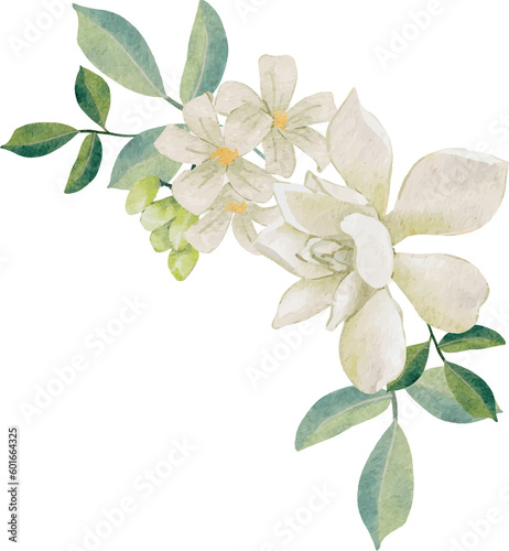 watercolor white thai flower gardenia and orange jasmine bouquet wreath frame