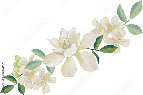watercolor white thai flower gardenia and orange jasmine bouquet wreath frame © Unchalee