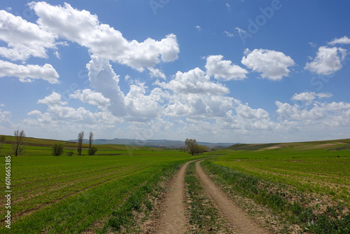 wild life path, land road stabilized road, nature and curvy country road,