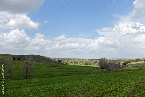 agricultural land cultivated with agricultural products fields planted with agricultural products and natural nature scenery 