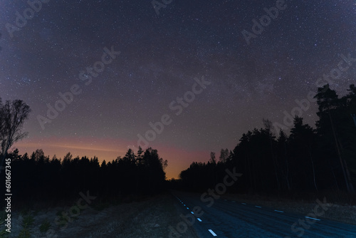 Night road through the forest, beautiful starry sky.