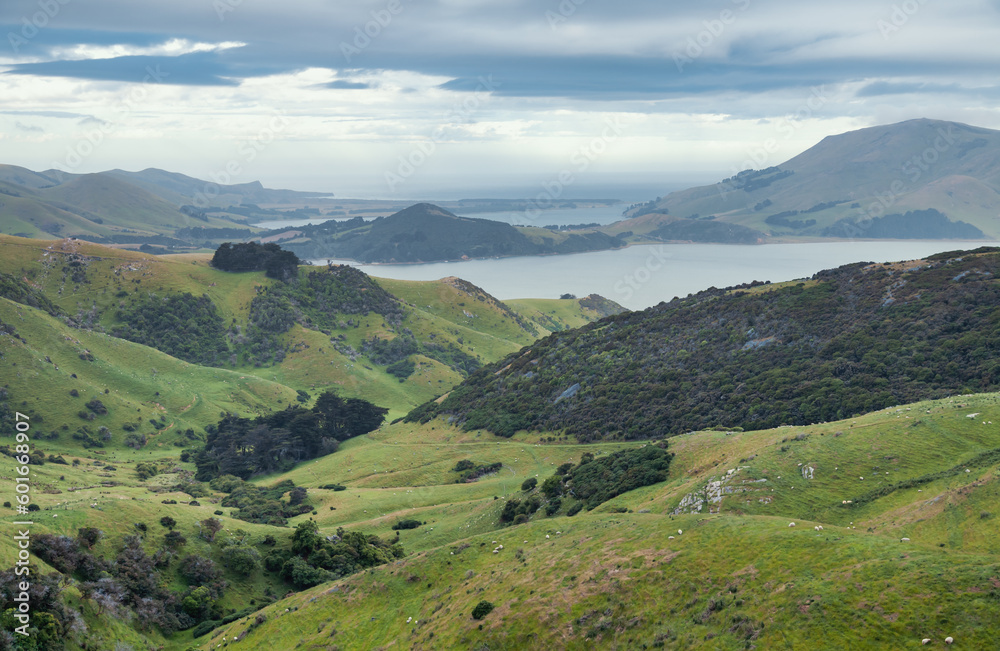 Otago Peninsula South Island New Zealand