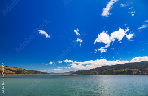 Otago Harbour South Island New Zealand