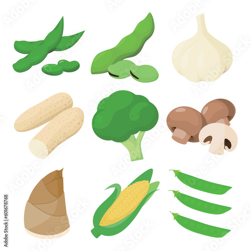 Vector illustration of vegetables rich in protein.