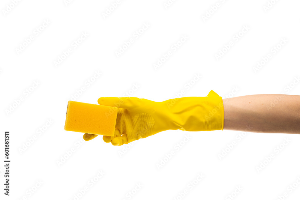 Hands up yellow rubber cleaning gloves holding sponge isolated on white background. Place for text. Professional cleaning concept