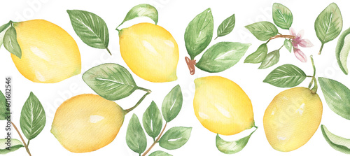 Watercolor hand drawn lemon seamless border, citrus fruit with leaves repeat border, textile design, card