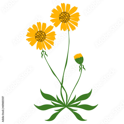 Yellow Dandelion Illustration