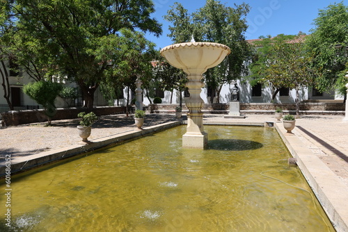 Aracena, Huelva, Spain, May 11, 2023: Water pond in the Dona Elvira square in Aracena, Huelva, Spain photo