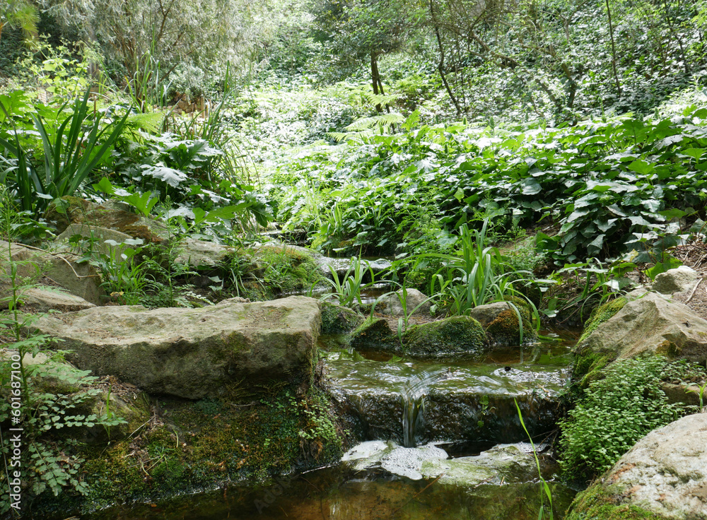 Leafy and green vegetation with a small stream, moments of calm and silence.