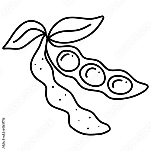 Soy bean, Soybean vector illustration. Soybean engraving isolated on white background.