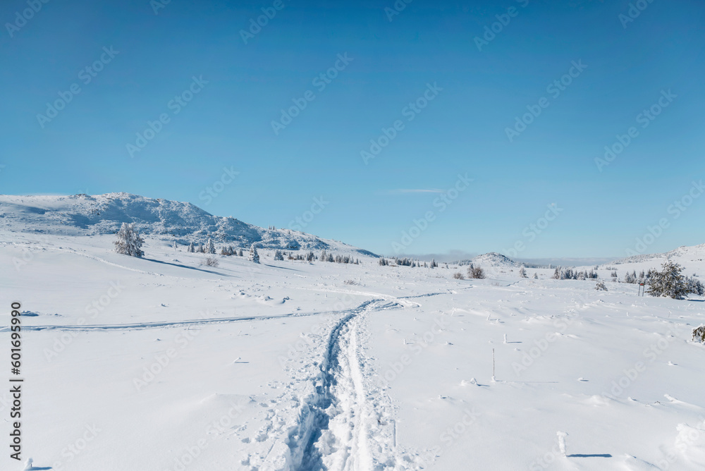 Beautiful Winter Landscape  . Vitosha Mountain ,Bulgaria 