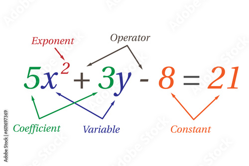 Parts of polynomial algebraic expressions. School. Math. Vector illustration. photo