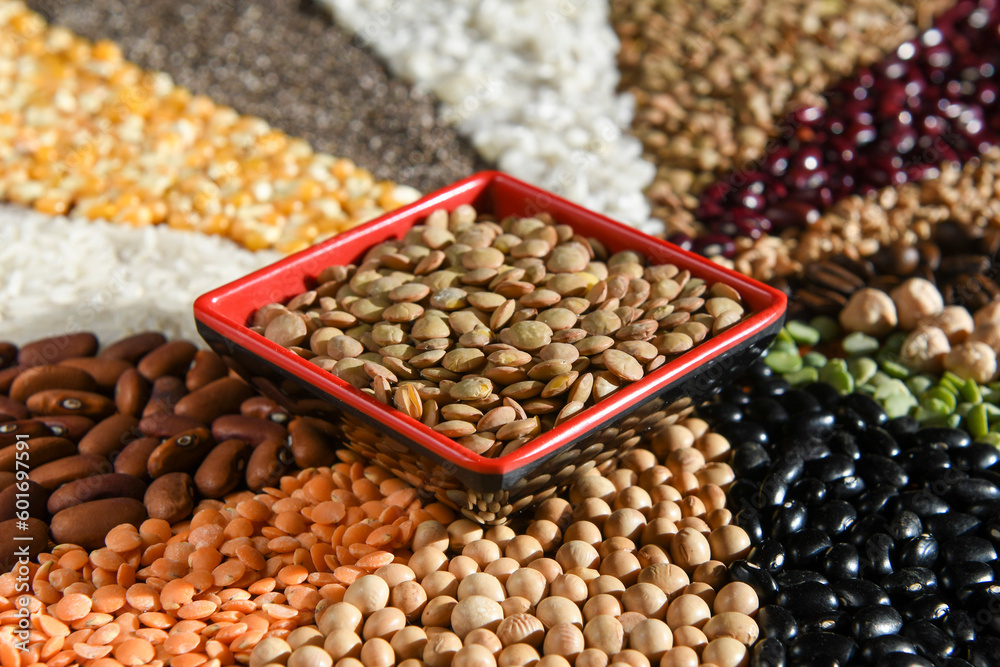 Bowl with raw white lentils on various seeds grain Bowl with raw white lentils on various seeds grain