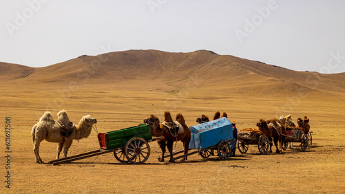 モンゴル　遊牧民　キャラバン　ラクダ photo