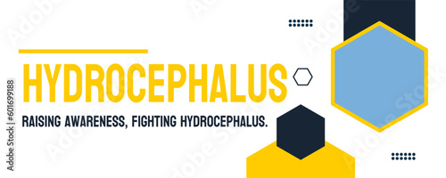 HYDROCEPHALUS - a buildup of cerebrospinal fluid in the brain