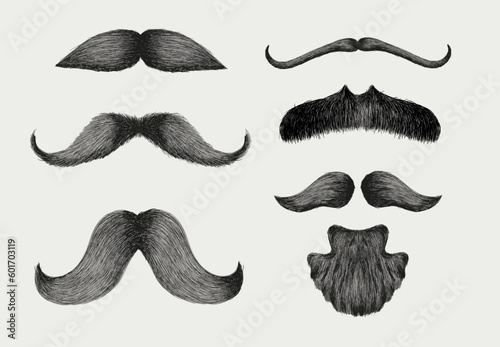 Set of Different styles of male realistic mustaches. Hand drawn Chevron, Dali, imperial, lampshade, handlebar, painter brush, classic relaxed, english, thick thin man mustaches. Vector illustration.