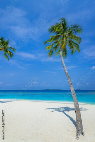 Travel beach concept. Untouched white sand calm sea bay sunny blue sky. Exotic paradise, Mediterranean tropics. Green palm trees, carefree beach landscape. Beautiful summer nature vacation island  © icemanphotos