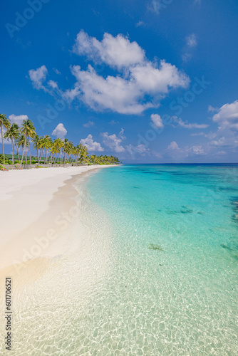 Fototapeta Naklejka Na Ścianę i Meble -  Maldives island beach. Tropical landscape of summer scenery, white sand with palm trees. Luxury travel vacation destination. Exotic beach landscape. Amazing nature, relax, freedom nature resort coast
