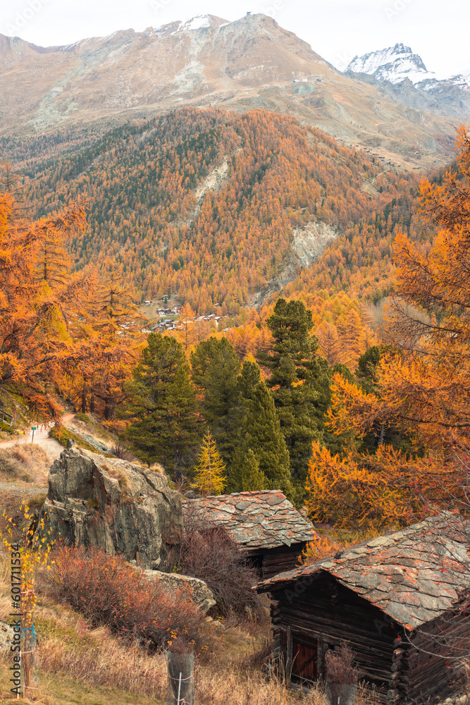 Autumn Alpine View with two houses in before the trees