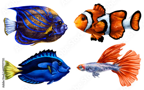 A set of colorful tropical marine fish in blue and orange shades. Underwater wild world, digital illustration on white background. For packaging, printing, posters, postcards, textiles, souvenirs