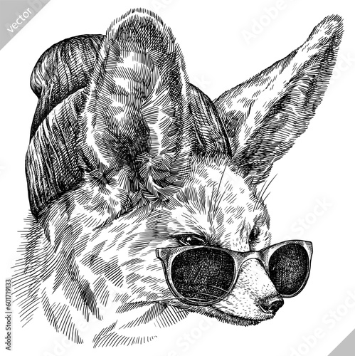Vintage engraving isolated fennec set glasses dressed fashion illustration ink costume sketch. Fox background fenech animal silhouette sunglasses hipster hat art. Hand drawn vector image