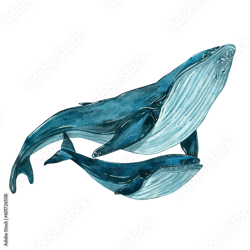 Watercolor illustration, composition of two whales - mom and baby, family. isolated on a white background. Suitable for fabric design, packaging paper, printing, postcards, logos, wallpaper