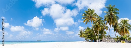Palm trees on the beach on a tropical island in the Maldives photo